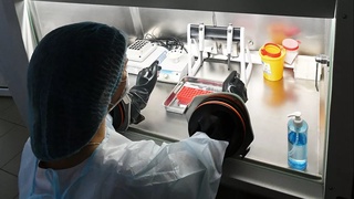 Хитой вакцинаси иммунитет ҳосил қилди