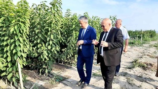 Ўзбекистоннинг Озарбайжондаги элчисининг ҳудудлар бўйлаб сафари