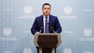 В текущем году для создания «зеленых покрытий» на 100 000 гектарах посадят защитные леса