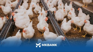 Бизнес кўмакчи, ишончли маслакдош