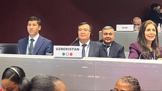 Представители Узбекистана участвуют в конференции в Женеве, посвященной устойчивому управлению опасными химическими веществами