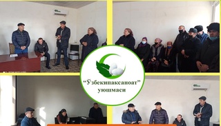 Toshkent viloyatida yangi tutzorlar tashkil etiladi