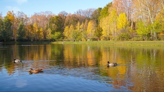 2023 йилнинг октябри рекорд даражада иссиқ бўлди