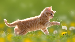 Выходные будут теплыми