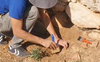 Замбияда ёғочдан қурилган дунёдаги энг қадимий иншоот топилди