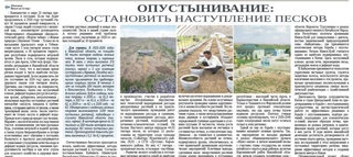 Опустынивание: остановить наступление песков