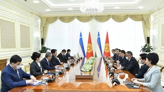 Состоялась встреча Президента Кыргызской Республики Садыра Жапарова и Председателя Сената Олий Мажлиса Танзилы Нарбаевой