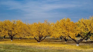 Бугун ҳаво қандай бўлади?