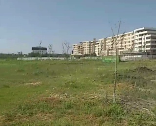 Бухоро шаҳрида жойлашган “Янги Ўзбекистон” боғидаги дарахтлар қаровсизликдан қуриб қолгани аниқланди