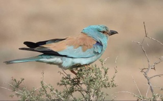 В приоритете - экология: реализация инвестиционных проектов с заботой о природе