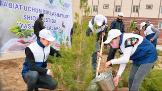 Зеленый пояс жилых массивов - примета времени