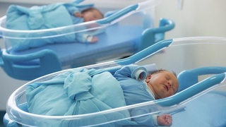 Өзбекстанда он айда неше нәресте туўылғаны мәлим болды