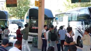 Байрам муносабати билан ҳудудларга қўшимча автобус қатновлари ташкил этилмоқда