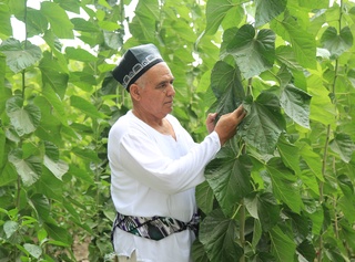 Тутчилик кластерида инновацион маҳсулотлар ишлаб чиқарилади