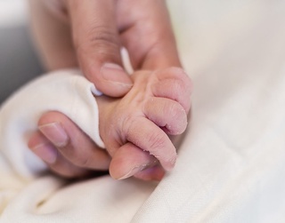 Кам вазнли чақалоқлар муолажасида "кенгуру" усулидан фойдаланилади