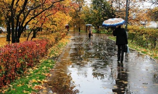 Пешгӯии обу ҳаво барои 8 ноябр