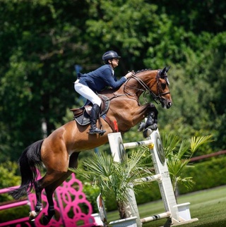 От спорти: ёш чавандозимиз жаҳон кубогида совриндор бўлди