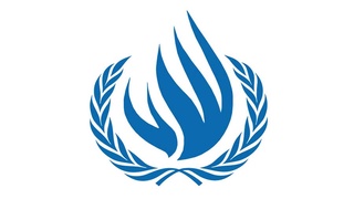 Около 150 общественных организаций выступили в поддержку выдвижения кандидатуры Узбекистана в члены Совета по правам человека ООН