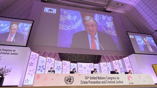 Глава ООН призвал обеспечить правовую защиту людей в киберпространстве