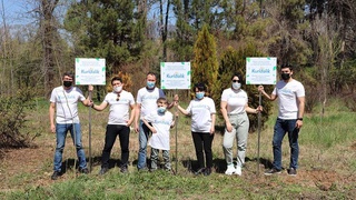 В Ботаническом саду Ташкента высажены новые деревья