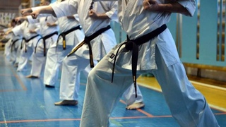 В Узбекистане будет создана Ассоциация карате Узбекистана (WKF)