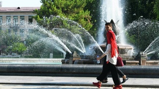 Weather forecast for May 11