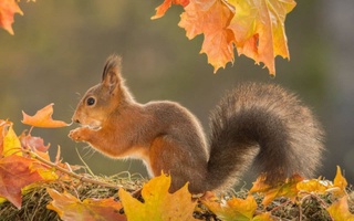 Прогноз погоды на 4 октября