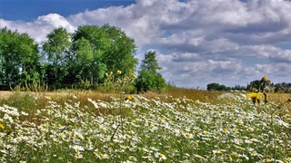 Прогноз погоды на 8 августа
