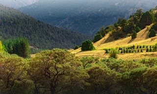 Oʻzbekiston Orxus konvensiyasiga rasman qoʻshildi