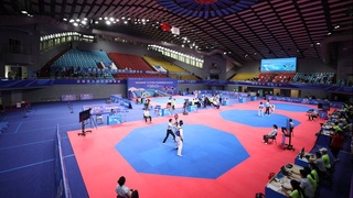 Чэнду-2021: очередные медали по таэквондо WT и ушу