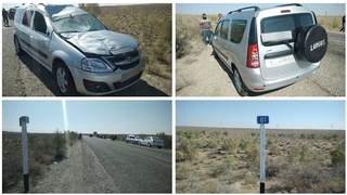 В Канимехе водитель автомобиля «Лада Ларгус» сбил верблюда