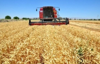 2022 жылғы астық өнімі үшін ең төменгі баға белгіленді