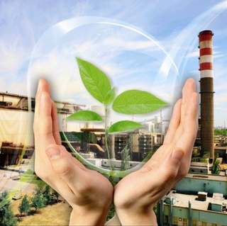 Без вреда для окружающей среды