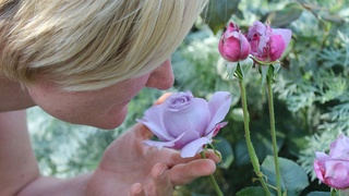 Как восстановить обоняние после Covid-19?