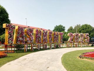 Фестиваль цветов в Ташкенте привлекает туристов со всего мира