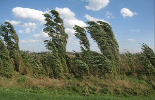 Осы аптада аптап ыстық басылады