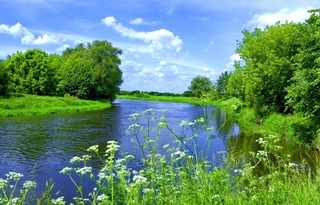 В Узбекистане на этой неделе сохранится умеренно жаркая погода