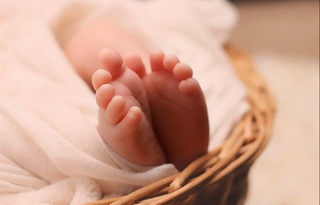 Бир суткада юртимизда 2 281 чақалоқ туғилди