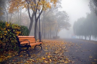 Эртага ҳаво илиқ бўлади