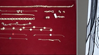 Обнаружены ювелирные украшения, спрятанные в протезе руки