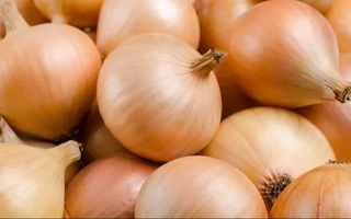 В марте-июне 2023 года Узбекистан экспортировал рекордные объемы лука