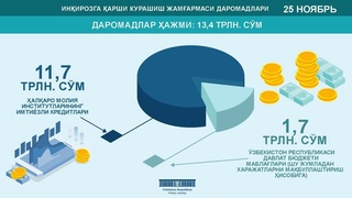 Инқирозга қарши курашиш жамғармаси харажатлари  13,4 трлн.сўмгача оширилди
