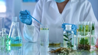 В Узбекистане будет создан Самаркандский институт агроинноваций и исследований