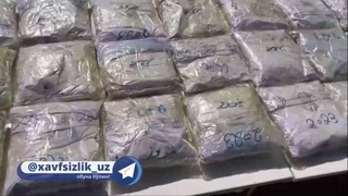 Дар вилояти Сирдарё ва Намангон лабораторияи истеҳсоли маводи нашъаовар ва партияҳои бузурги маводи қочоқӣ ошкор карда шуданд