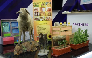 Agrar sohada innovatsion texnologiyalar haftaligi davom etmoqda