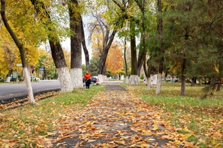 “Ўзгидромет”: ҳафтанинг иккинчи ярмида ҳарорат кўтарилади