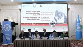 Обсуждены проблемы засоленных почв