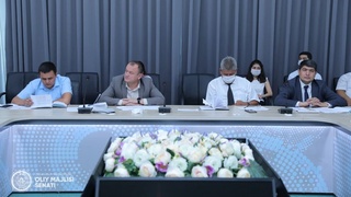 Бюджет ва иқтисодий ислоҳотлар масалалари қўмитасининг мажлиси бўлиб ўтди