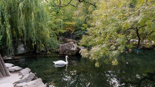 Прогноз погоды на 26 сентября