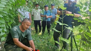 ФАО способствует развитию современных знаний и навыков в области сохранения лесов Узбекистана